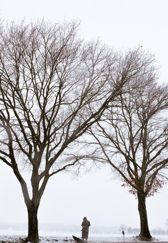 Photograph by Алина Шевченко