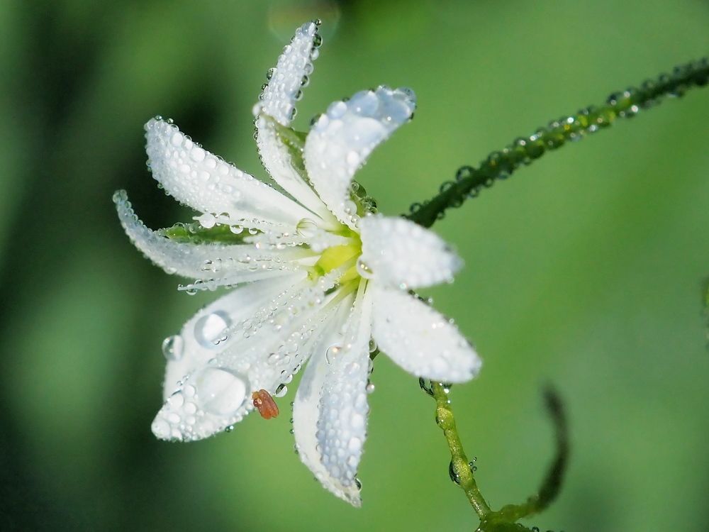 Photograph by Елена Харитонова