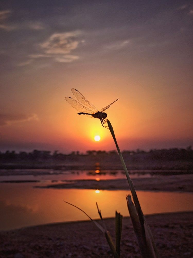 Being on the top of the world