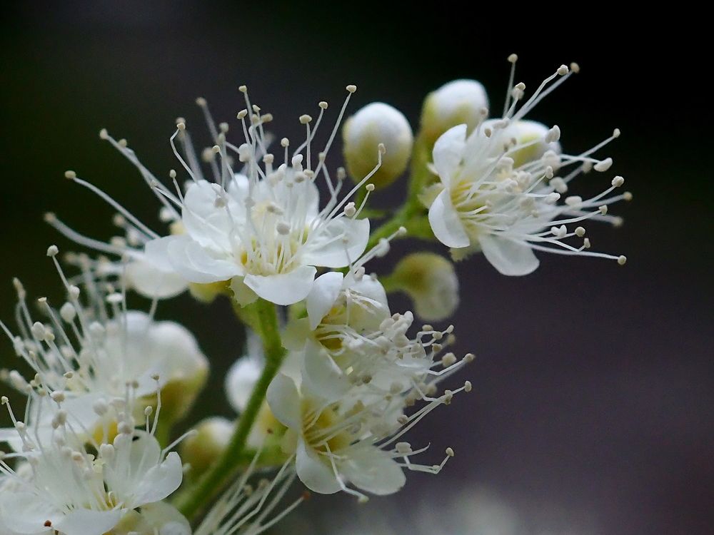 Photograph by Елена Харитонова