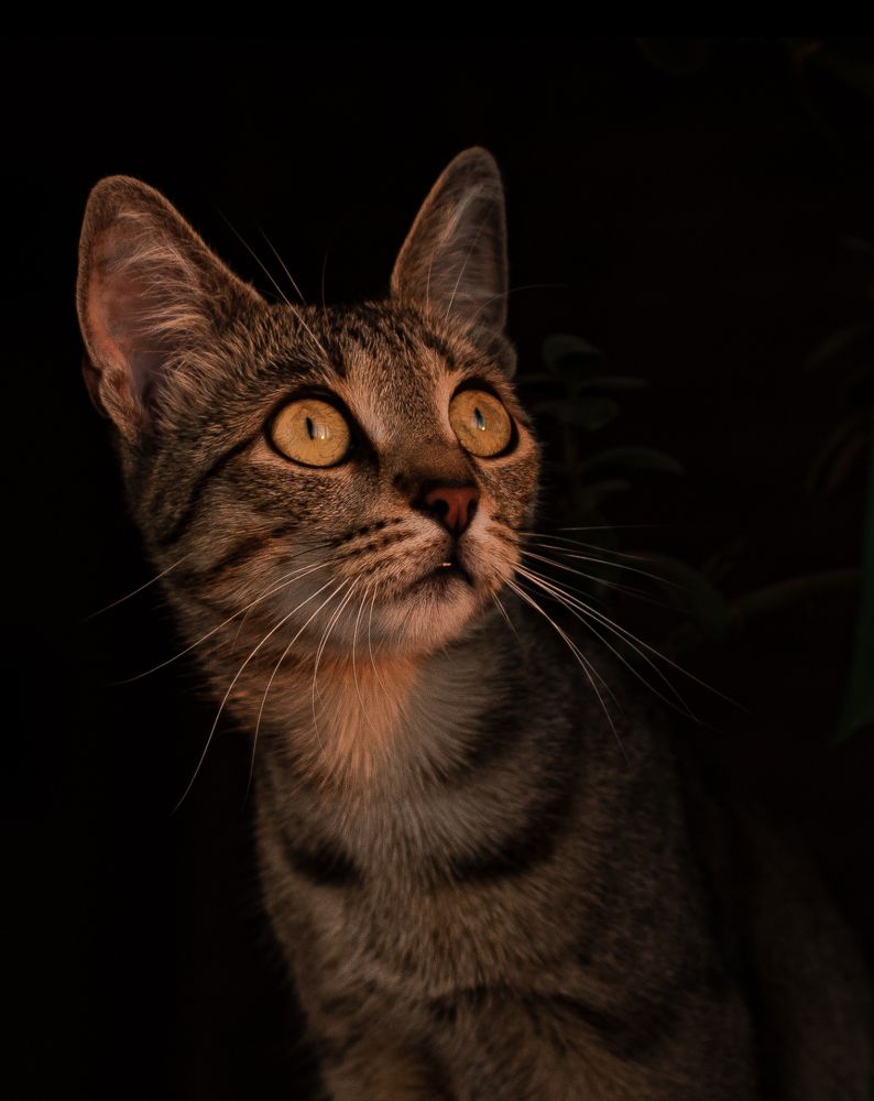 Photograph by Nikita