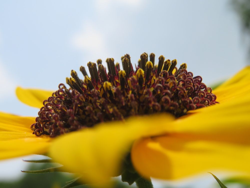 Photograph by Susmita Paul