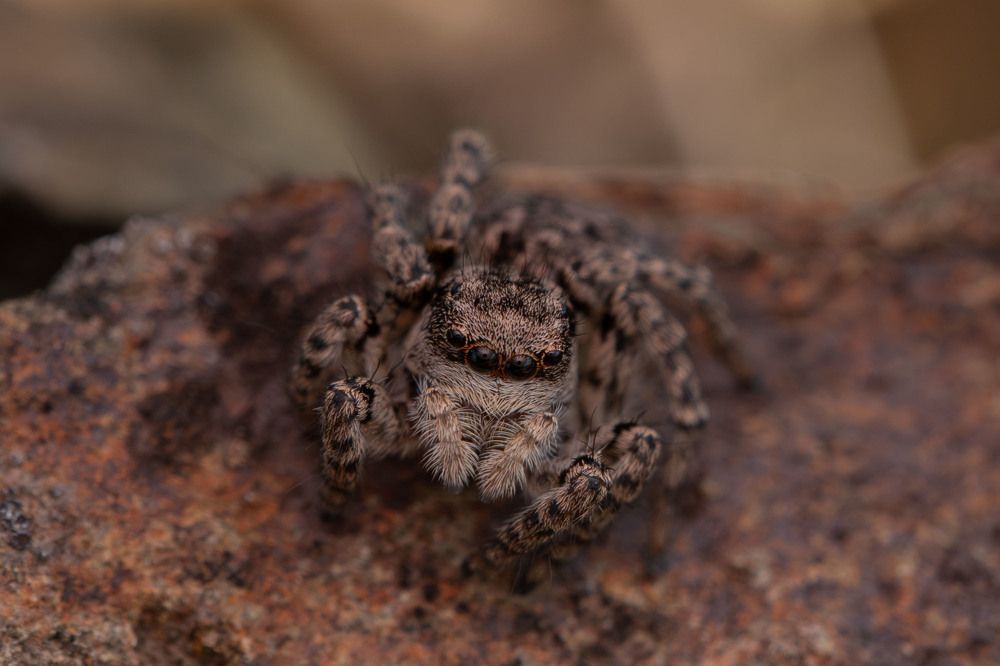 Фотография автора Виталий Сурков