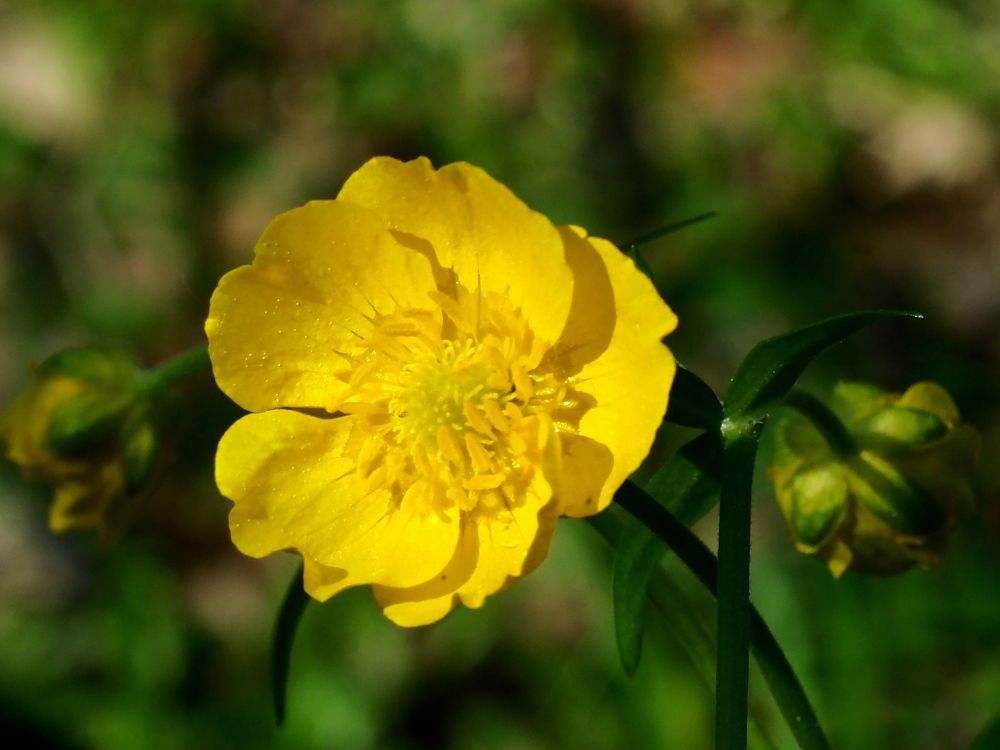 Photograph by Елена Харитонова
