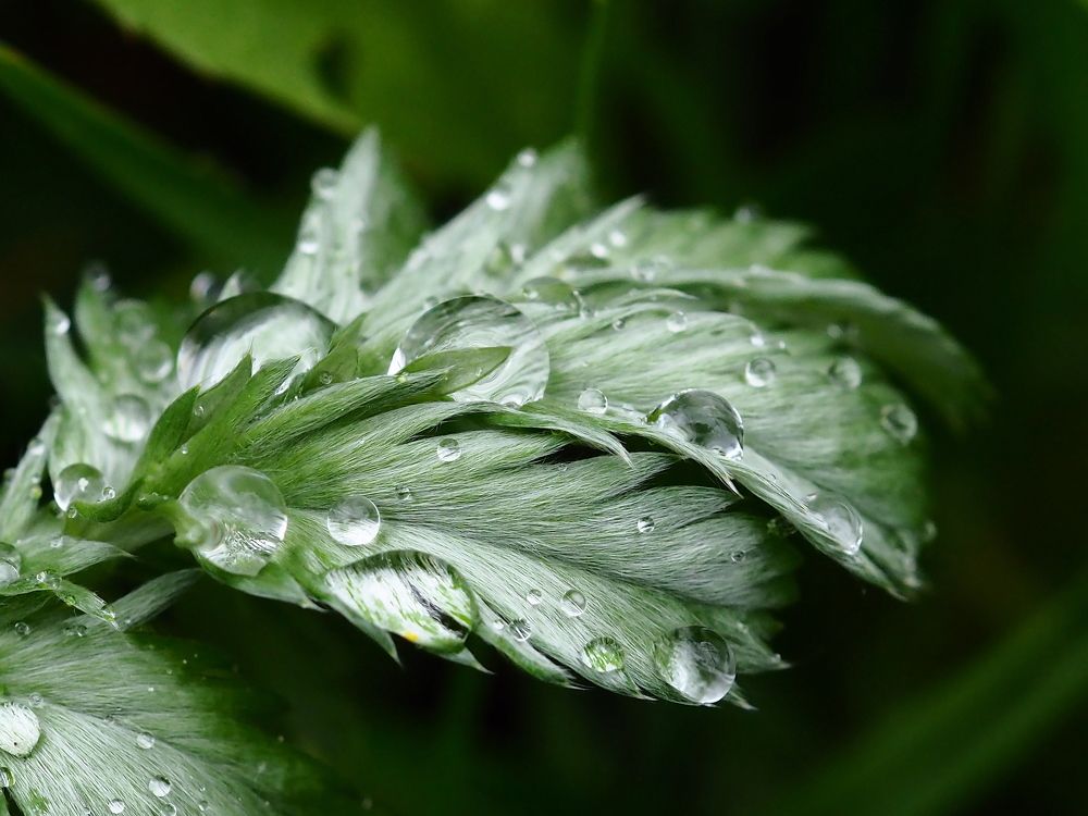 Photograph by Елена Харитонова