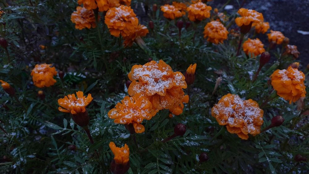 Photograph by Елена Лещева