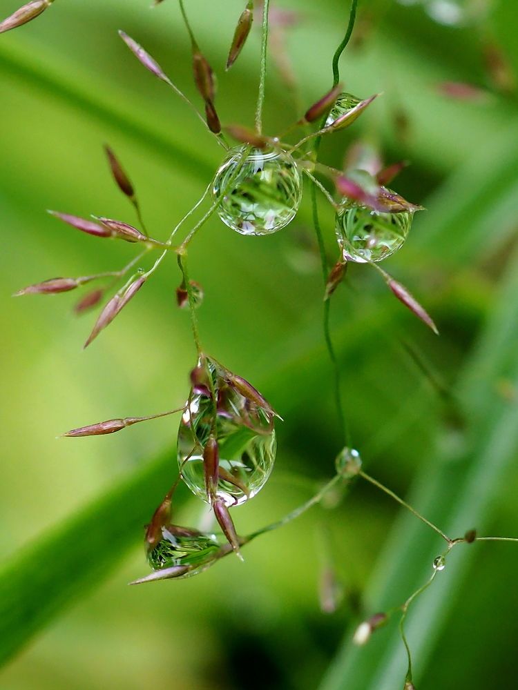 Photograph by Елена Харитонова