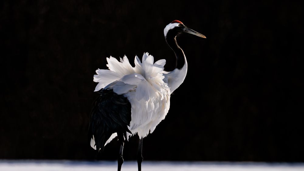 Photograph by Николай Мозгунов