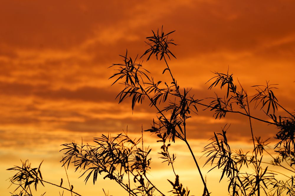 Photograph by Татьяна