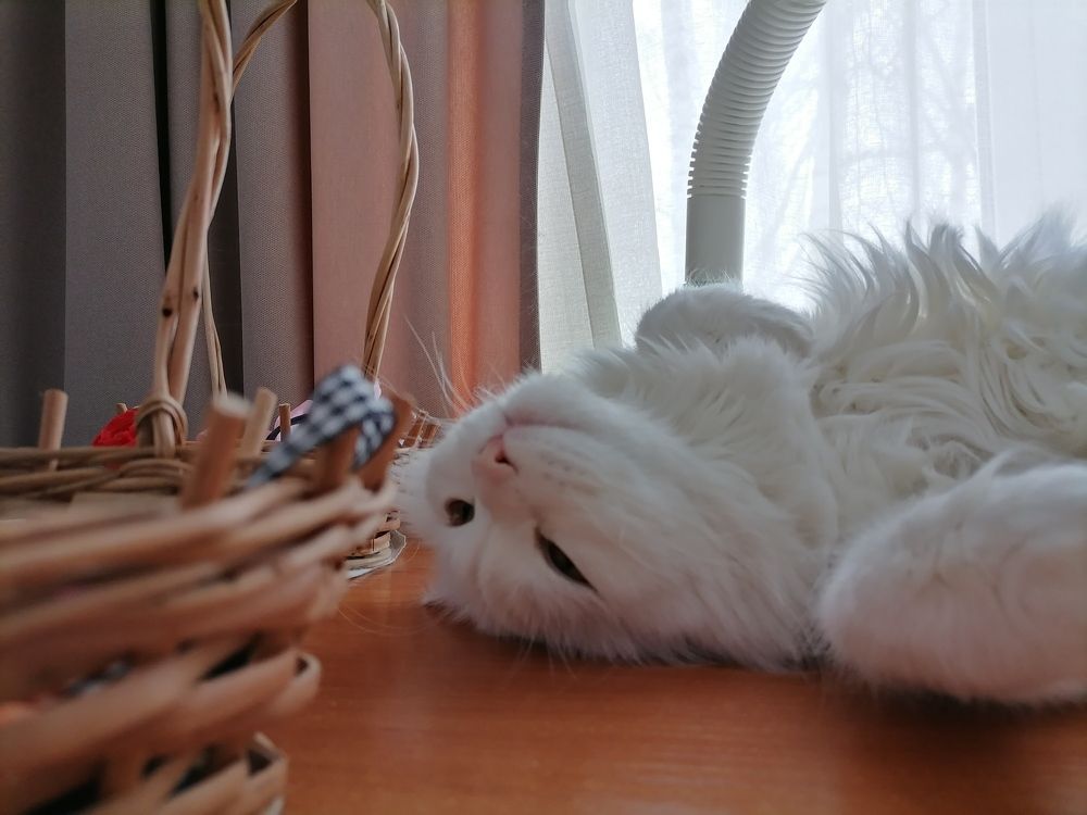 Photograph by Дарья Николаевна
