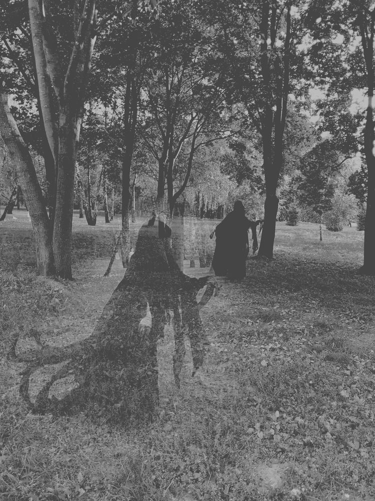 Фотография автора Татьяна Егорова