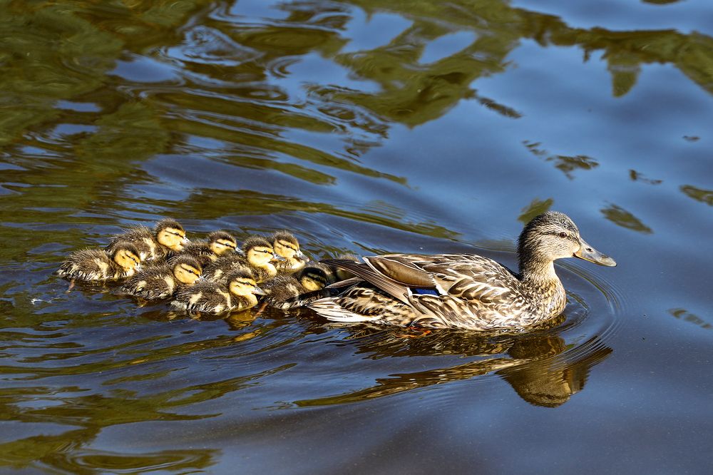 Photograph by Наталья Суслова