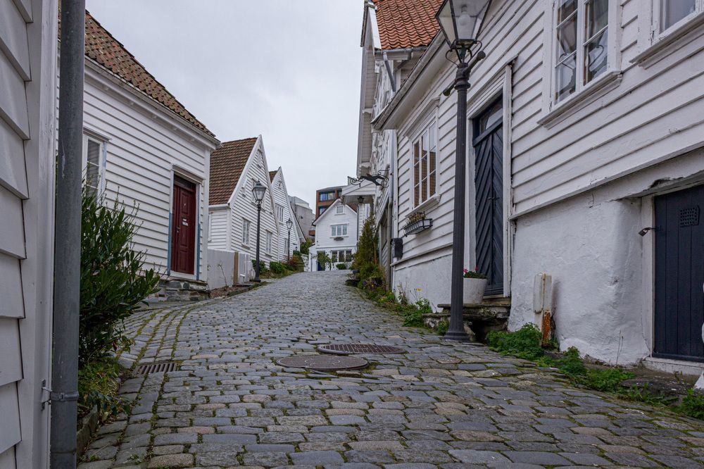 Фотография автора Minja Jovetic