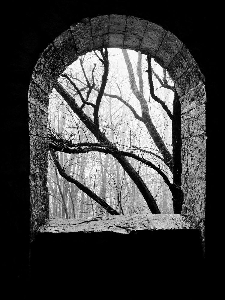 Photograph by Татьяна