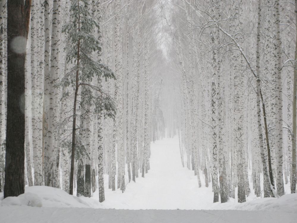 Photograph by Юлия Козельских