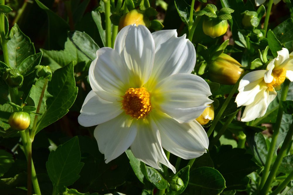 Photograph by Ирина Федичева