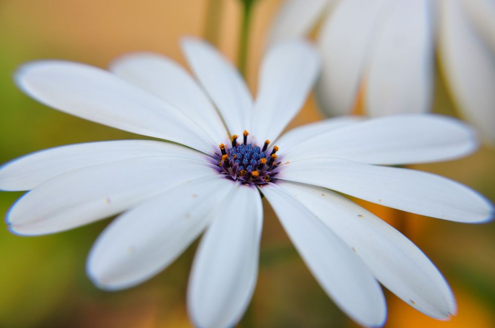 Photograph by Юлия Козельских