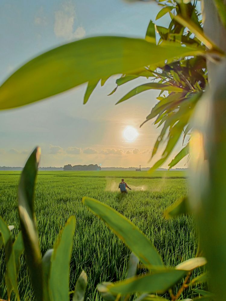 Фотография автора Shuvadeep Paul