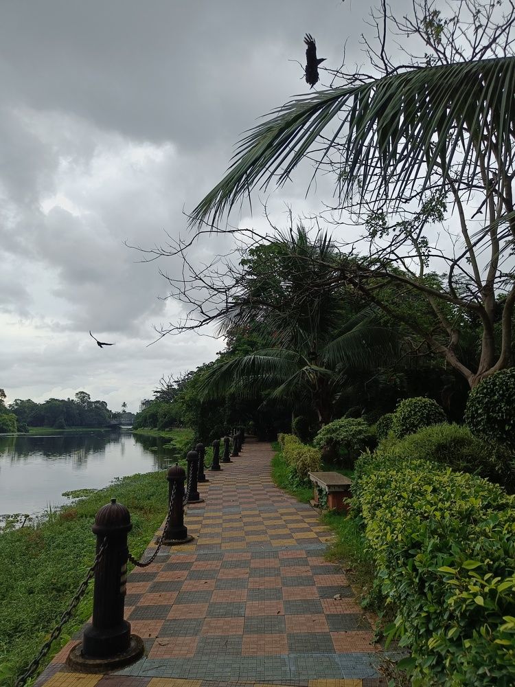 Фотография автора Shuvadeep Paul