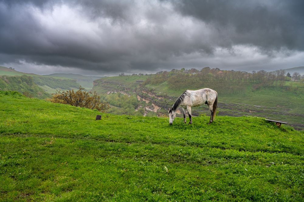 Photograph by Алик