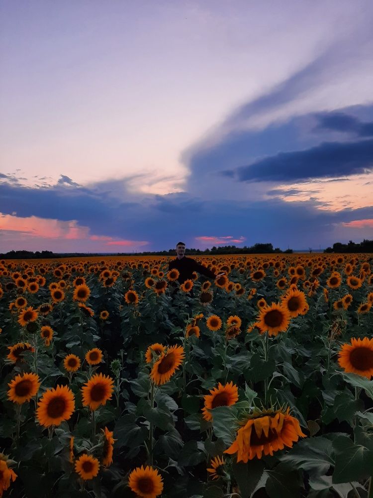 The Man from the Dream