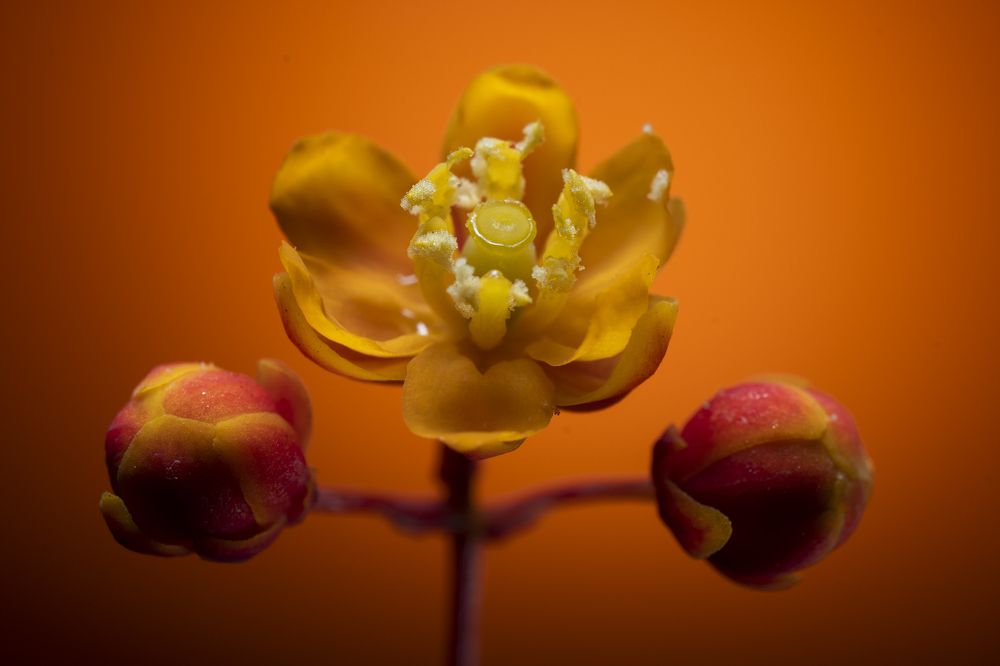 Photograph by Claudia Ruiz