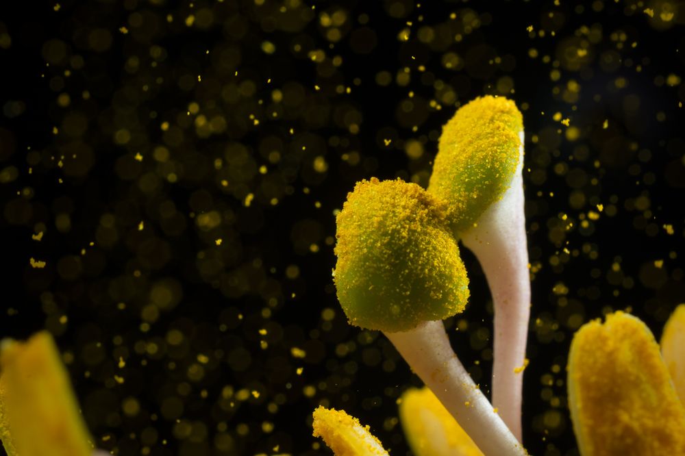 Photograph by Claudia Ruiz