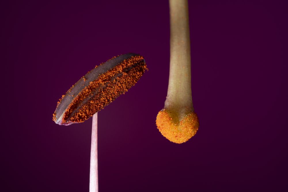 Photograph by Claudia Ruiz