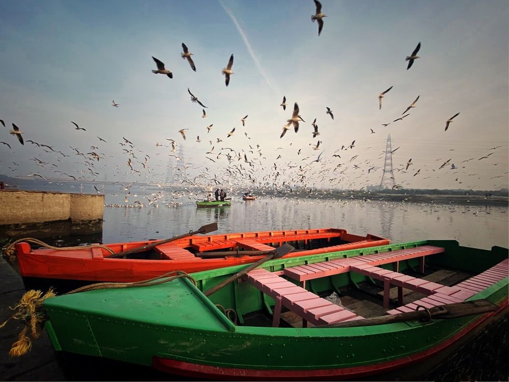 Photograph by Manjri Saxena