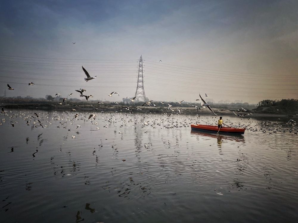 Photograph by Manjri Saxena