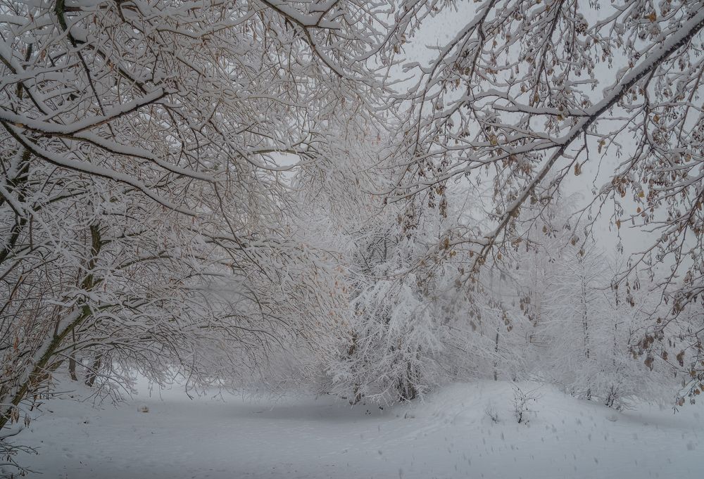 Photograph by Марина Ческис