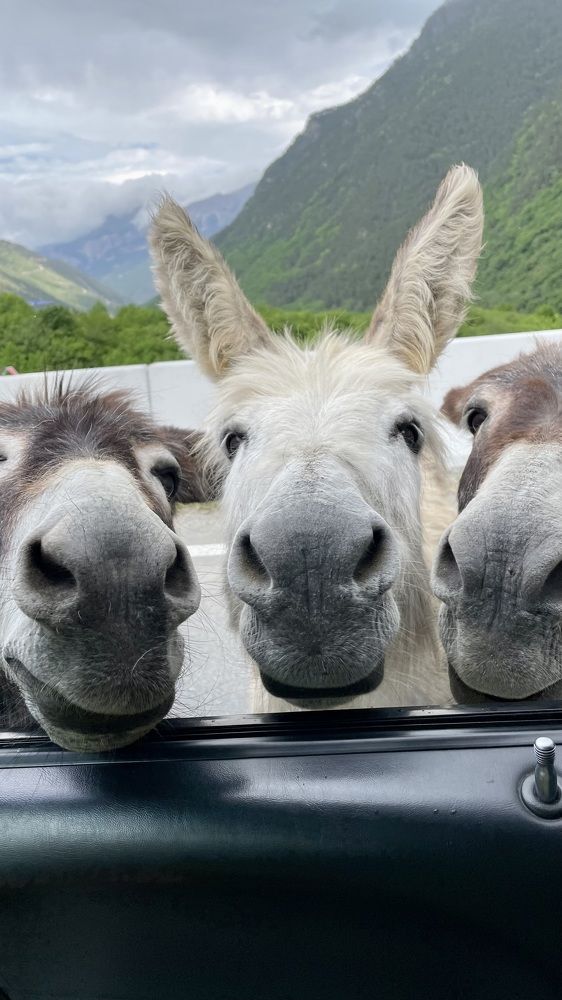 Photograph by Александр Кузнецов