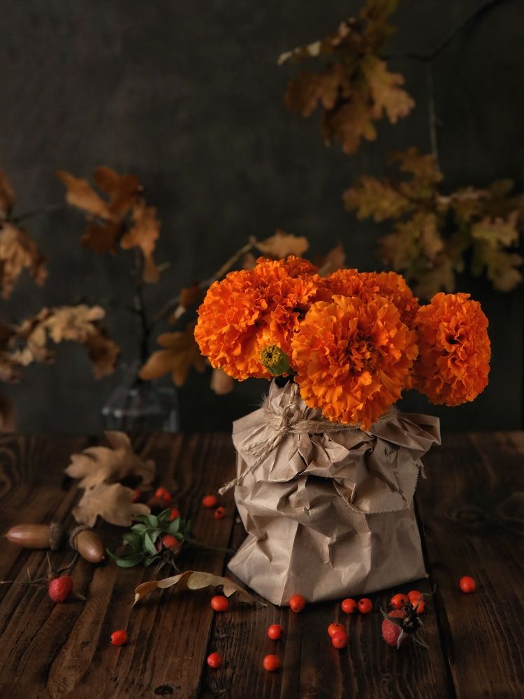 Photograph by Angelica Medvedeva