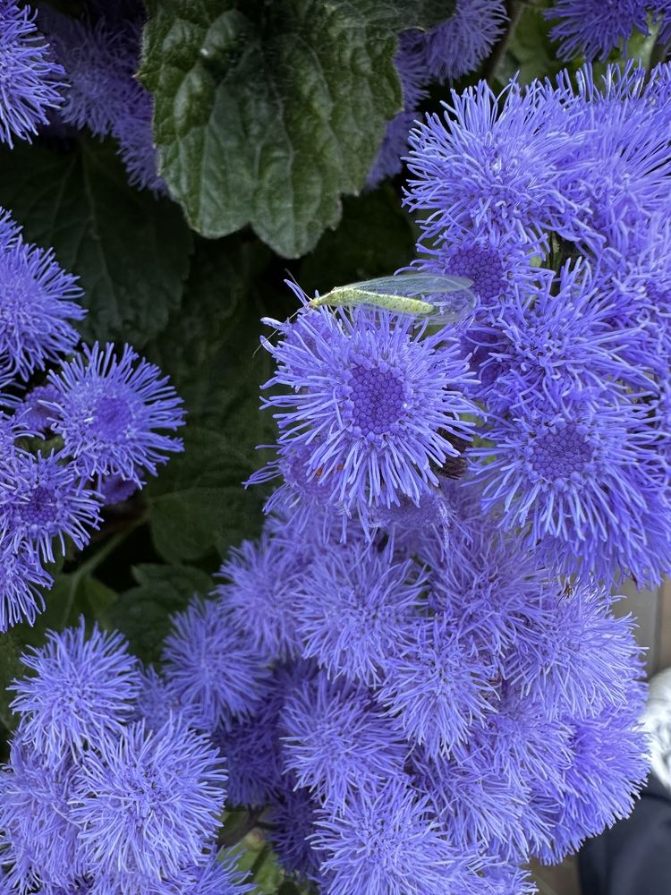 Фотография автора Яврова Татьяна