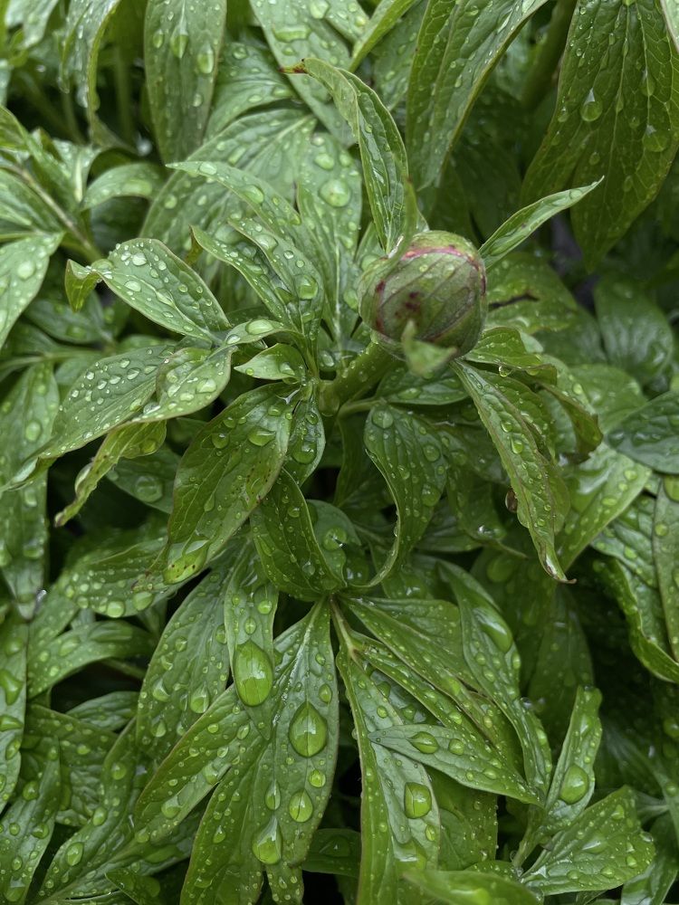 Photograph by Олеся Лагутина