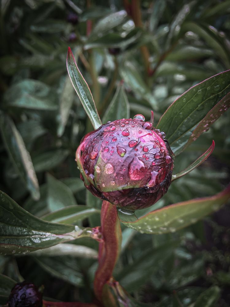 Photograph by Олеся Лагутина