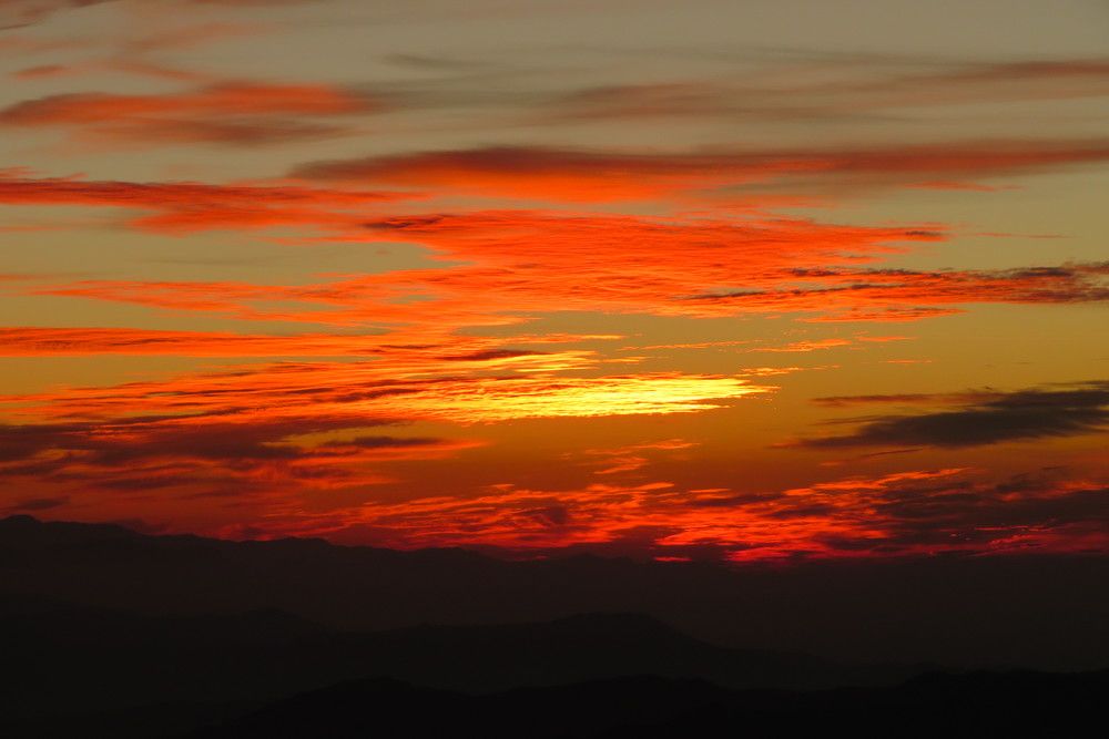 Photograph by Susmita Paul