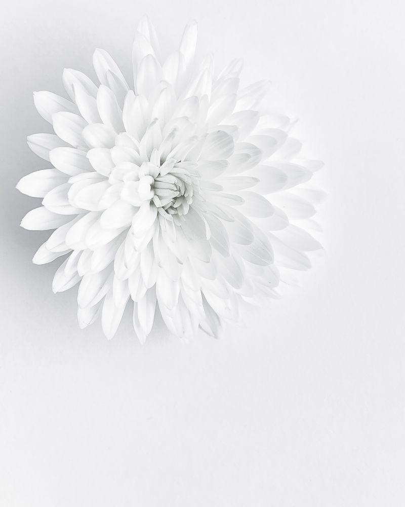 Фотография автора Олеся Лагутина