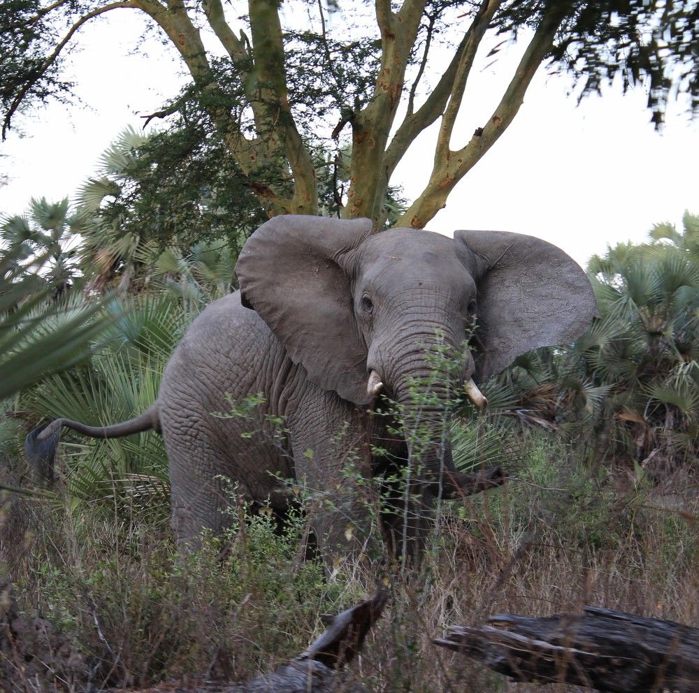 Photograph by Mário Fernando