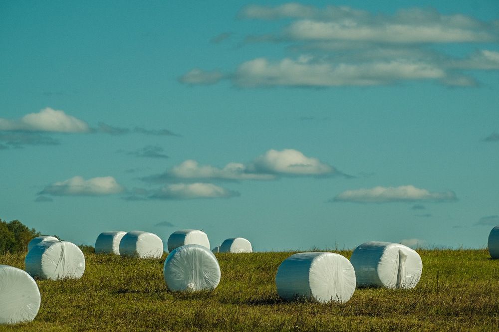 Photograph by Алексей Большаков