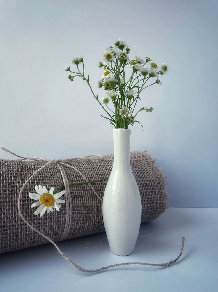 Фотография автора Рамзия Хисамутдинова