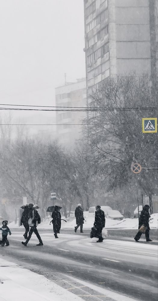 Photograph by Василий Шумкин