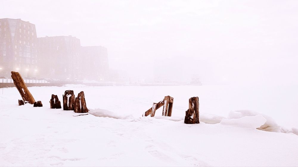 Photograph by Илья Шевелев