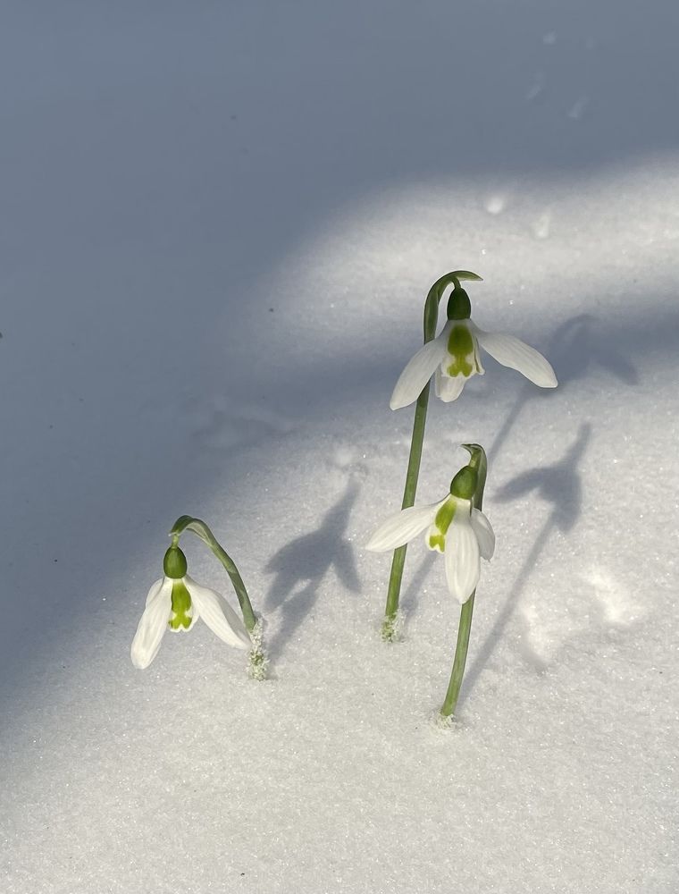 Photograph by Татьяна