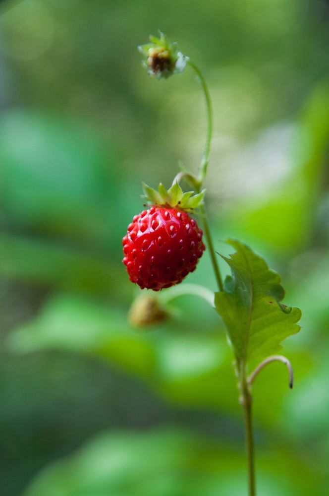 Photograph by Олеся Лагутина