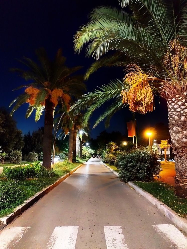 Улица и палме?