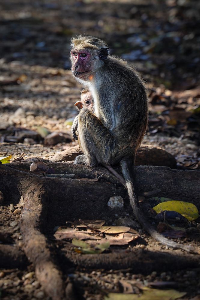 Photograph by Наталья Суслова