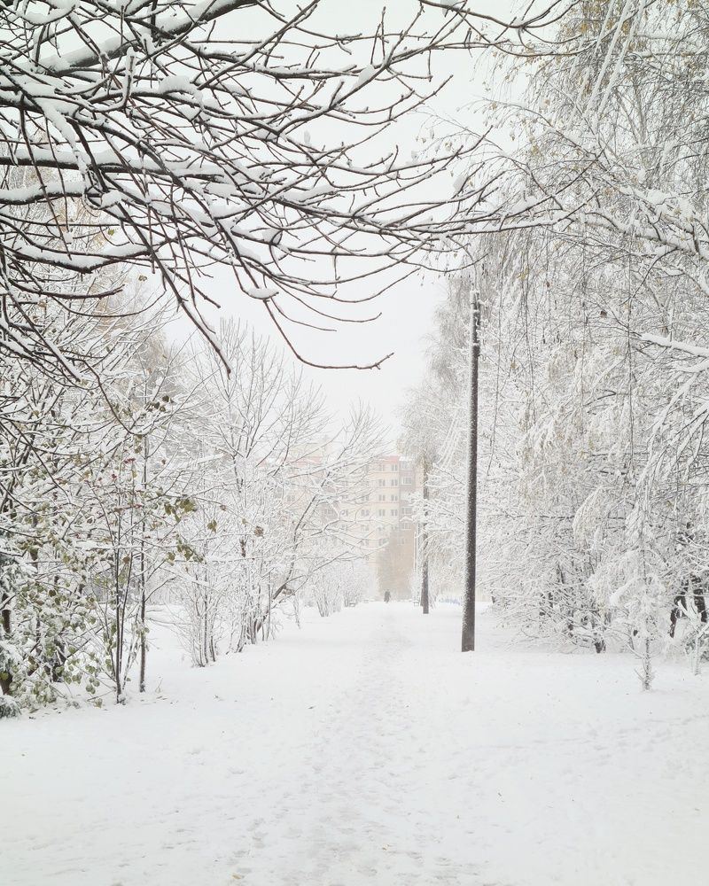 Photograph by Людмила Григорьева