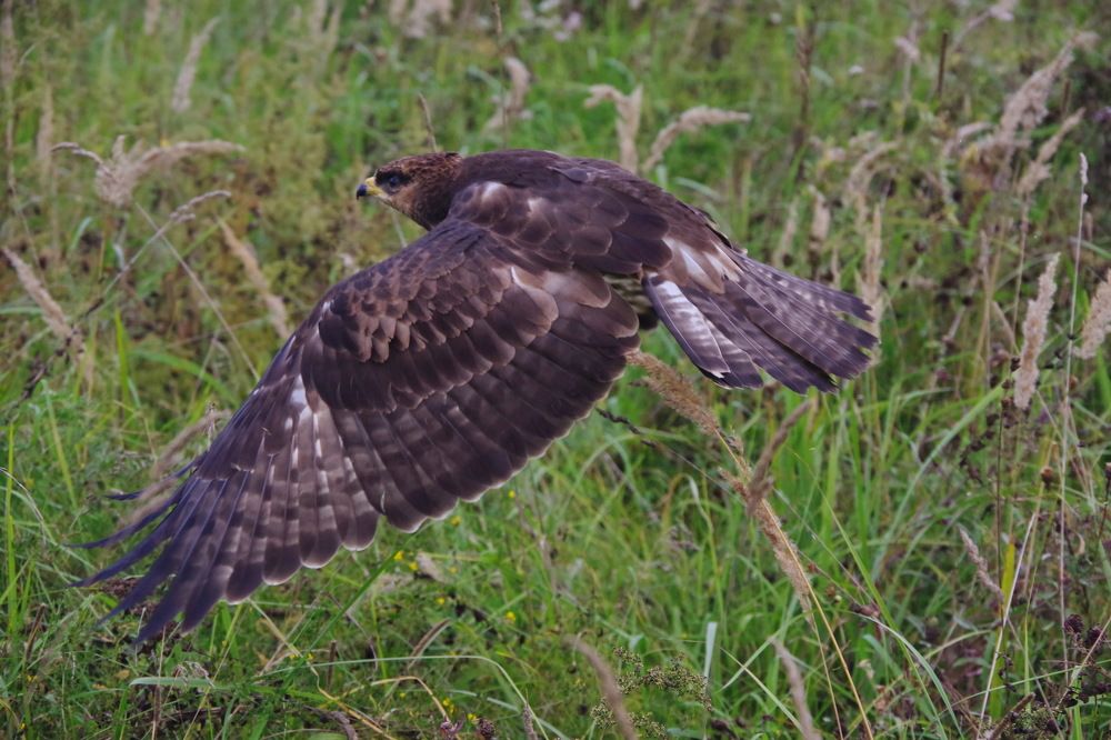 Photograph by Алексей Бородинов