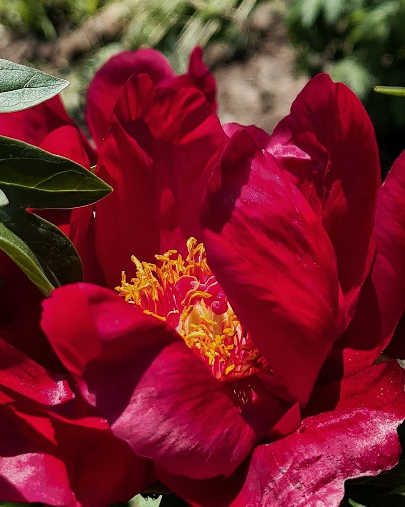 Photograph by Людмила Григорьева